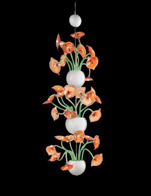 Tulipa